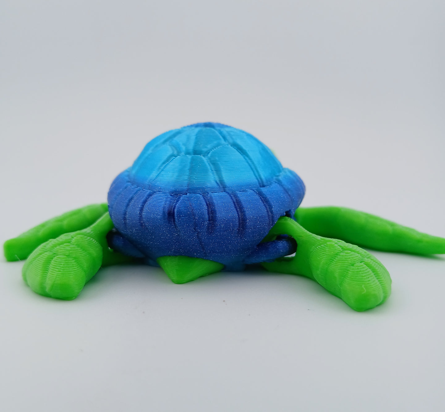 Cute Sea Turtle